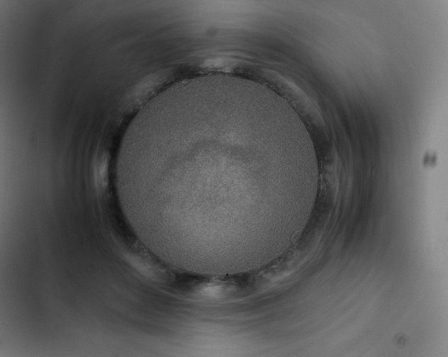 X0000103330504200809051213