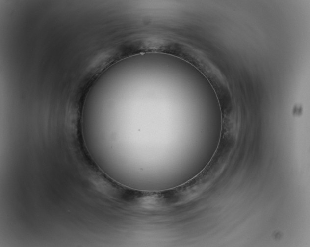 X0000103330505200809051213