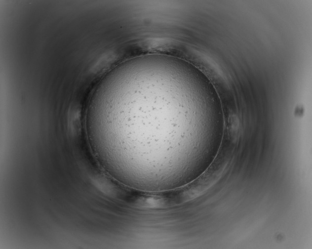 X0000103330506200809051213