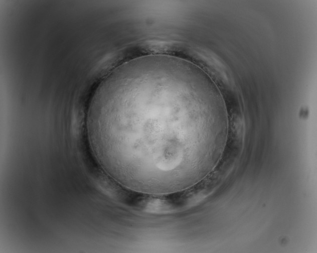 X0000103330507200809051213