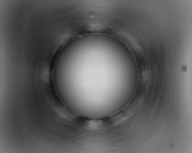 X0000103330508200809051213