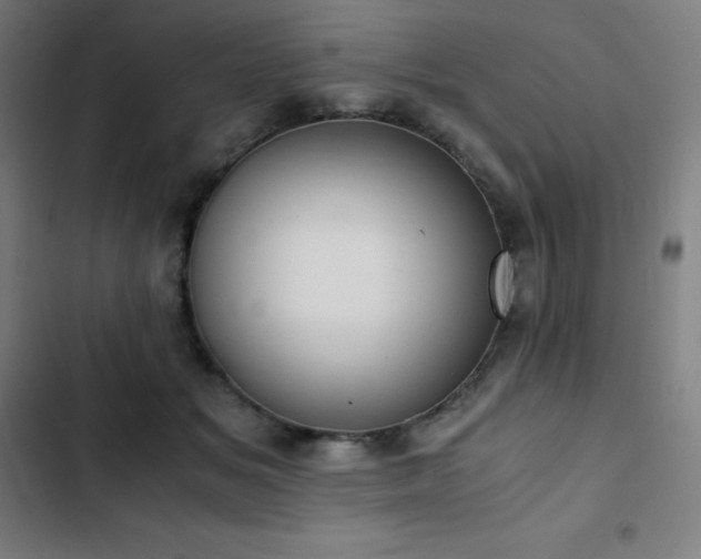 X0000103330509200809051213