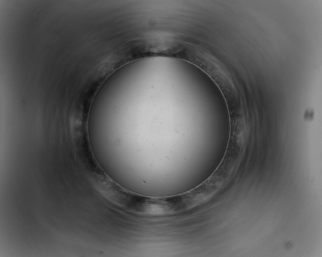 X0000103330510200809051213