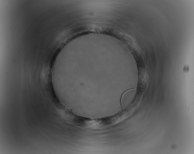 X0000103330511200809051213