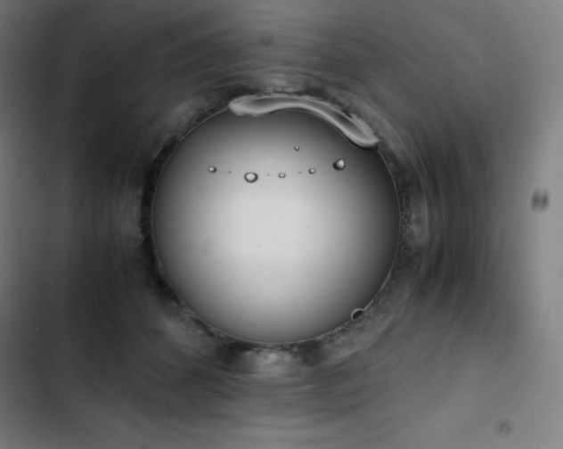 X0000103330512200809051213