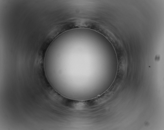 X0000103330513200809051213