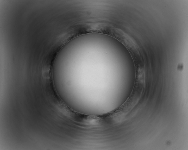 X0000103330514200809051213