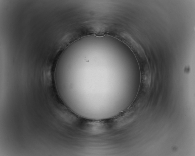 X0000103330516200809051213