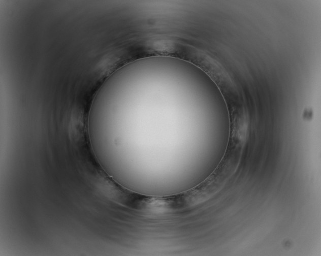 X0000103330518200809051212