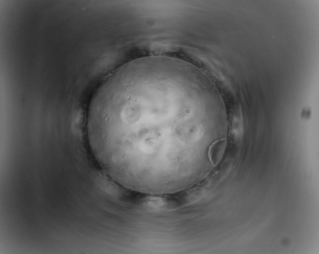 X0000103330519200809051212