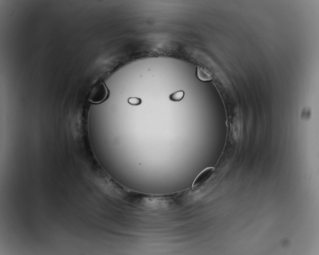 X0000103330520200809051212