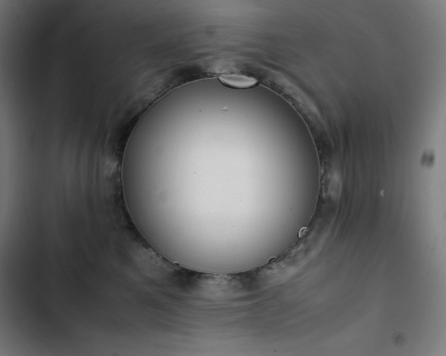 X0000103330521200809051212