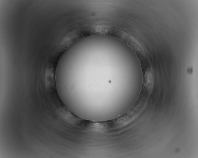 X0000103330522200809051212