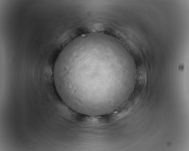 X0000103330523200809051212