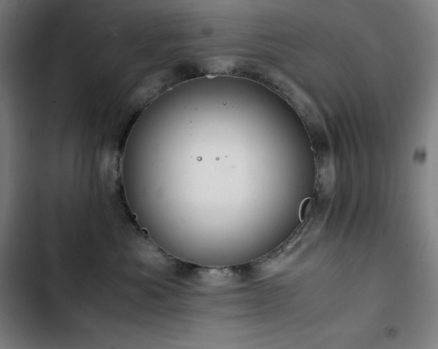 X0000103330525200809051212