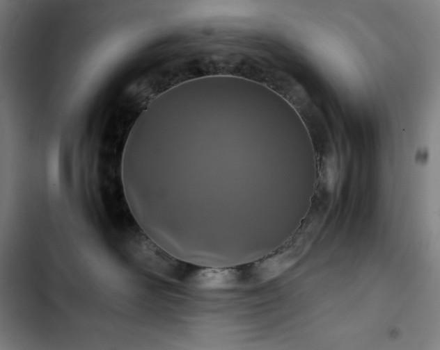 X0000103330526200809051212