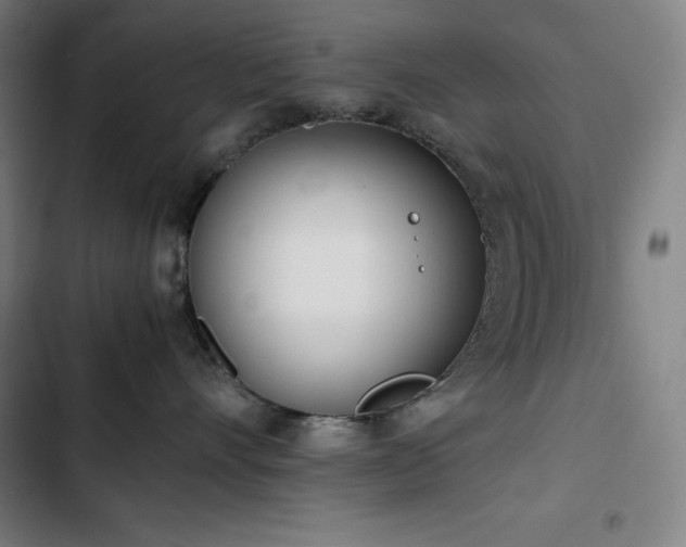 X0000103330528200809051212