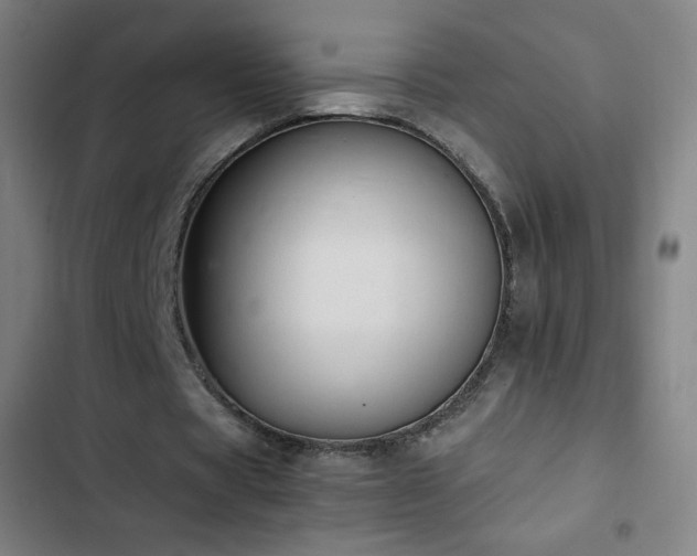 X0000103330529200809051212