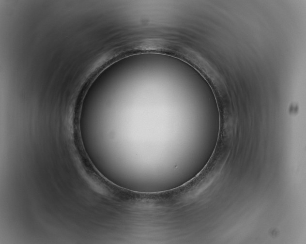 X0000103330530200809051212