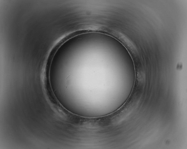 X0000103330532200809051212