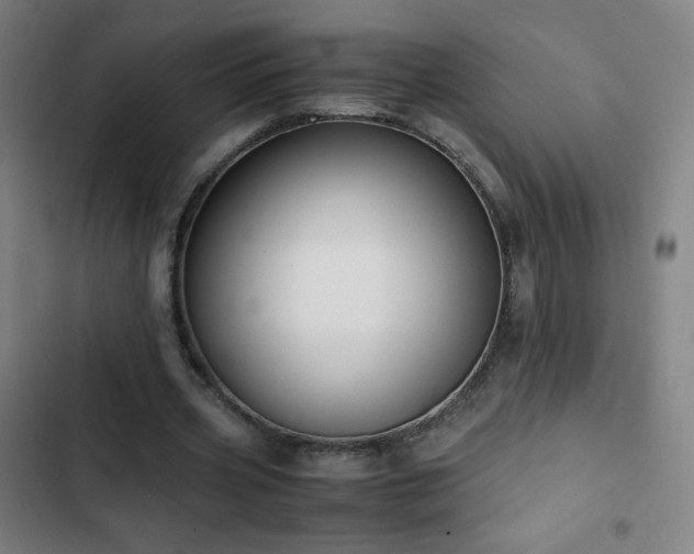 X0000103330533200809051212