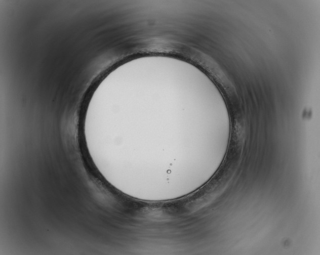 X0000103330534200809051212