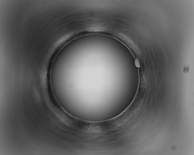 X0000103330535200809051212