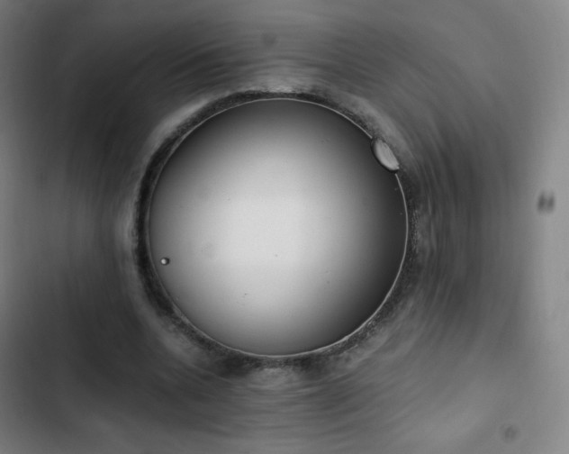 X0000103330536200809051212