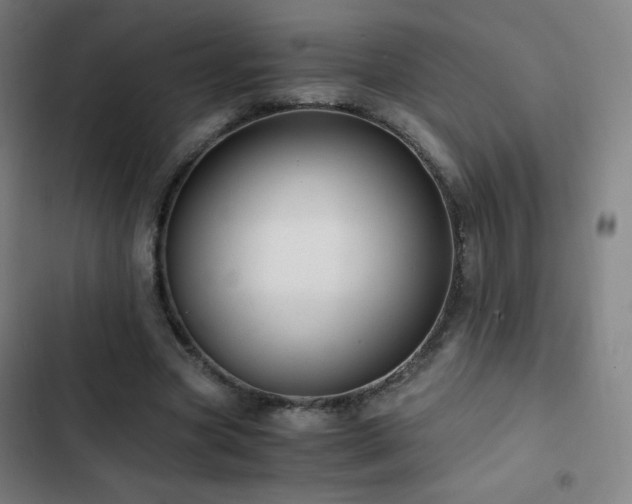 X0000103330537200809051212