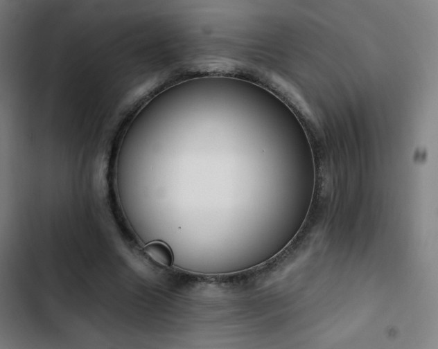 X0000103330538200809051212