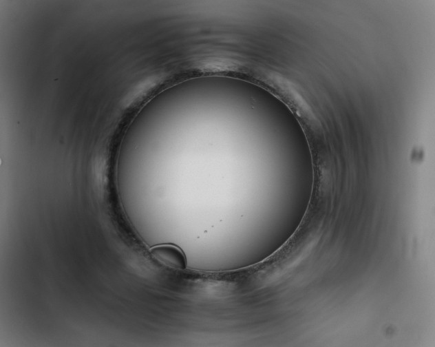 X0000103330539200809051212