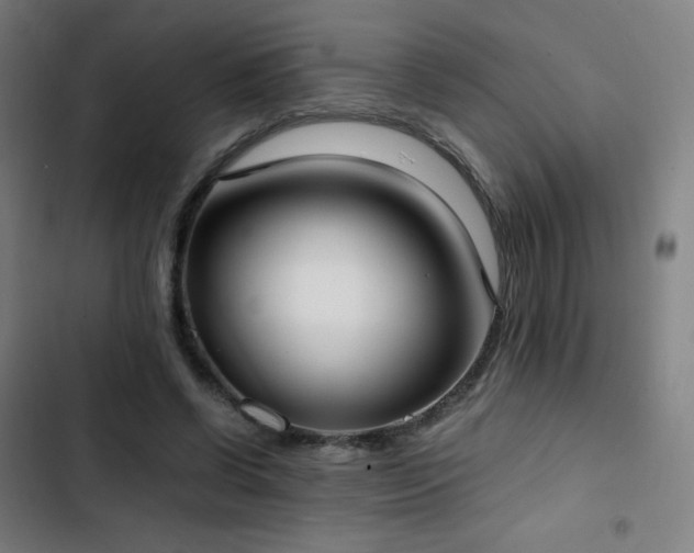 X0000103330542200809051212