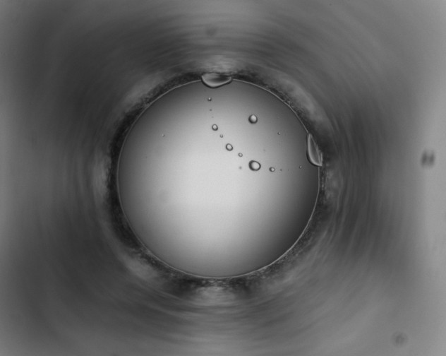 X0000103330544200809051212