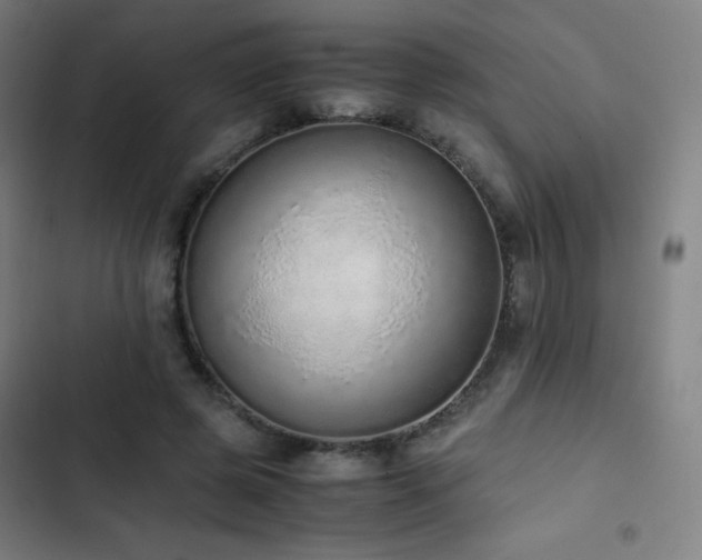 X0000103330545200809051212