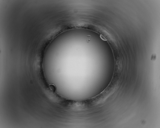 X0000103330546200809051212