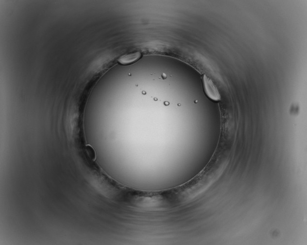 X0000103330548200809051212