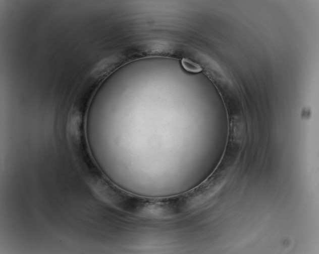 X0000103330550200809051212