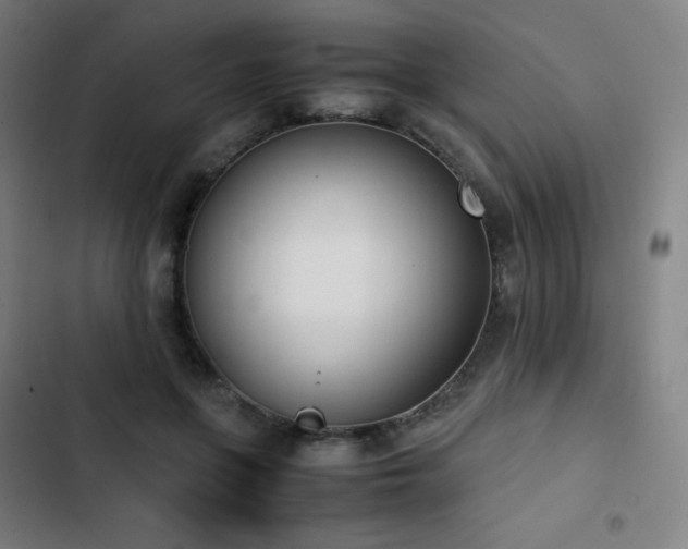 X0000103330551200809051212