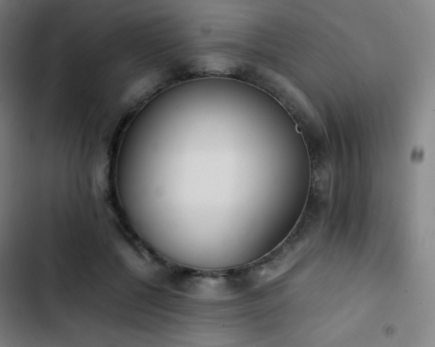 X0000103330552200809051212