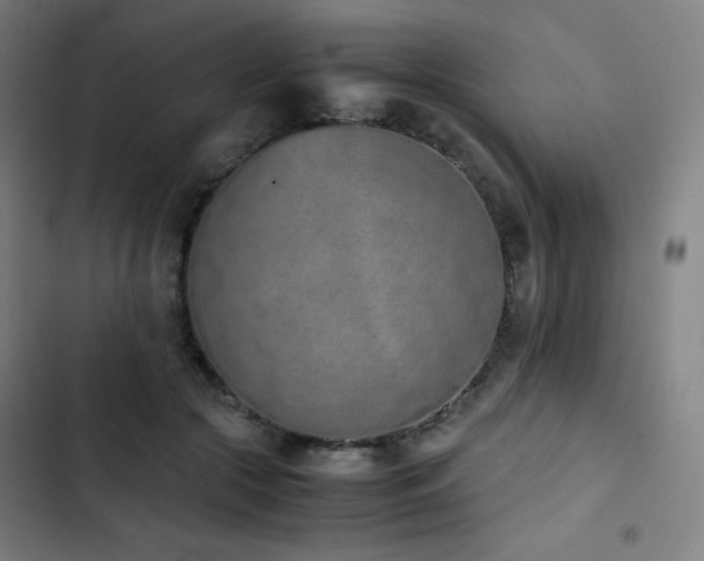 X0000103330553200809051212