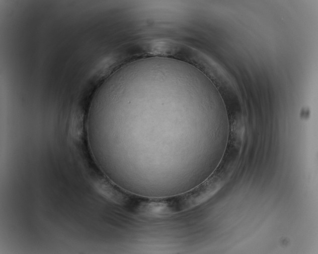 X0000103330554200809051212