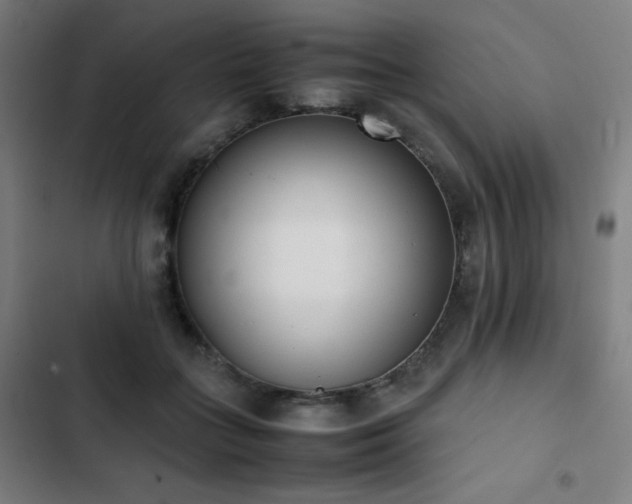 X0000103330555200809051212