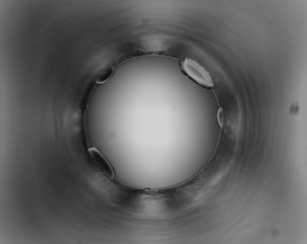 X0000103330556200809051212