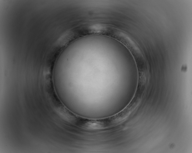 X0000103330557200809051212