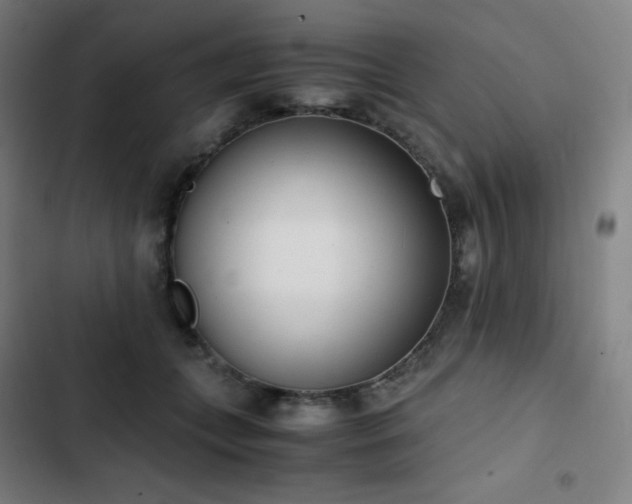 X0000103330559200809051212