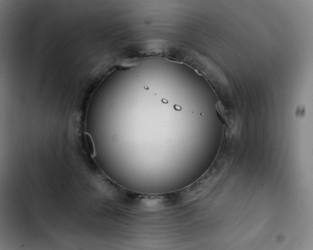 X0000103330560200809051212