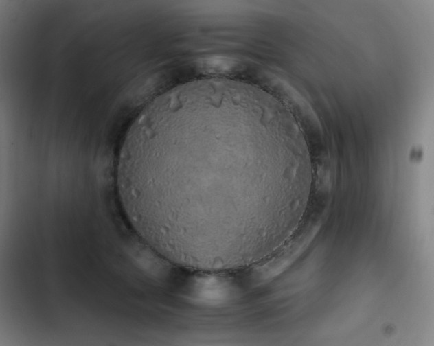 X0000103330561200809051212