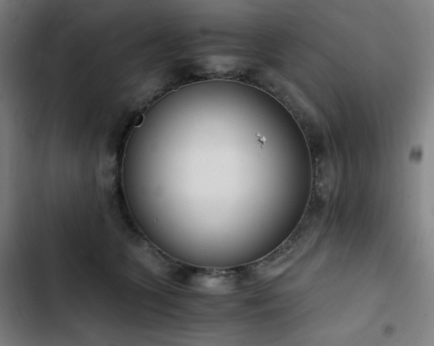 X0000103330563200809051212