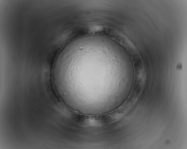 X0000103330565200809051212