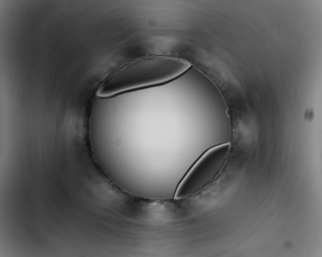 X0000103330566200809051212